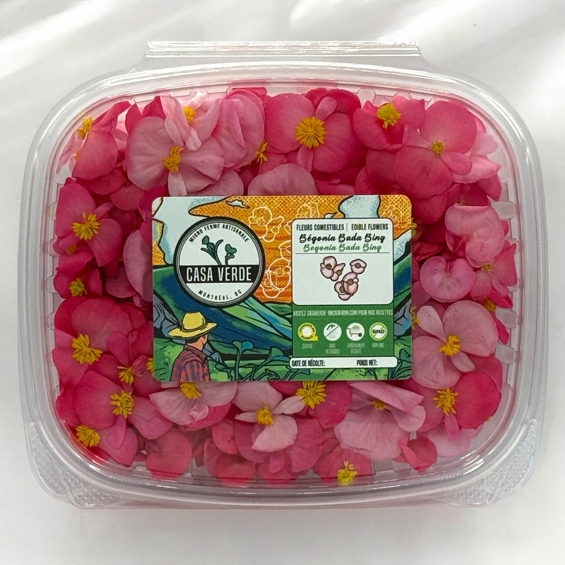Begonia Edible Flowers