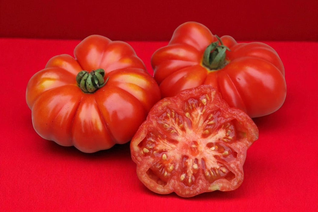 Tomate Costoluto Genovese