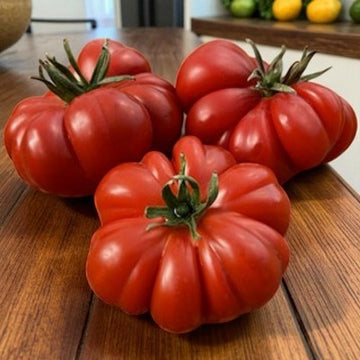 Tomate Costoluto Genovese