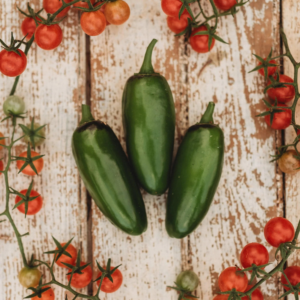 Three green Craig's Grande Jalapeno on a wooden surface with red tomatoes on vines.