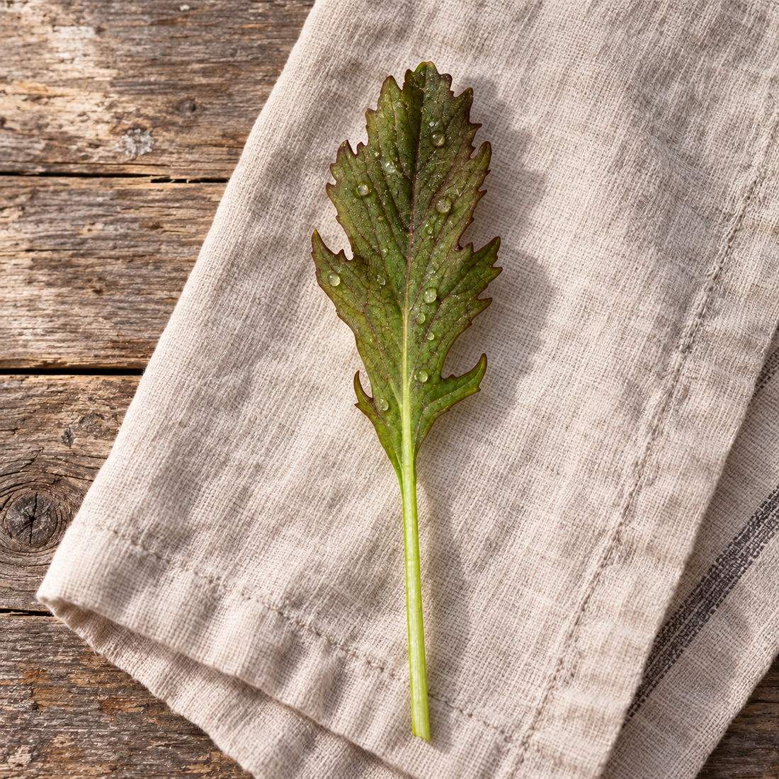 Red Barron mustard leaf detail