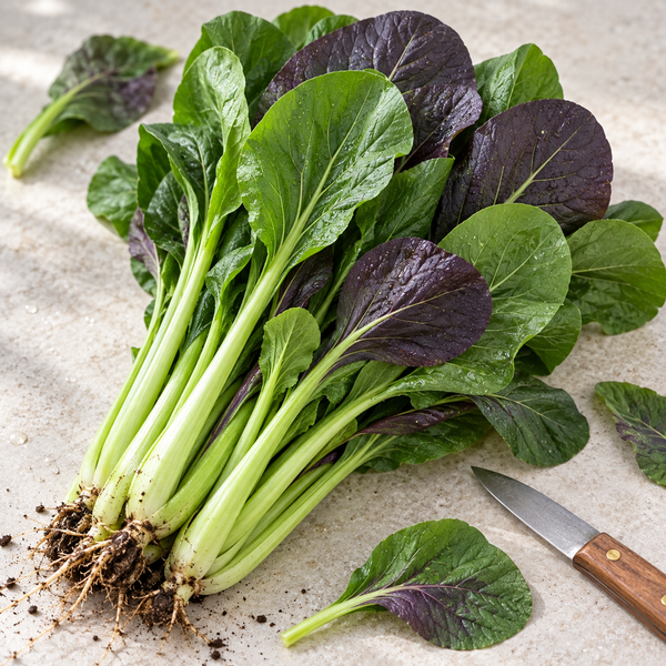 Purple Komatsuna Seeds