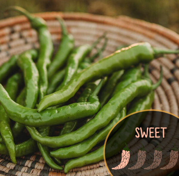 Green fushimi chilies on a woven basket with 'SWEET' label