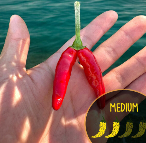 Two red chili peppers held in a hand with a blurred natural background