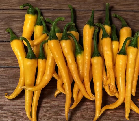 Golden Cayenne
