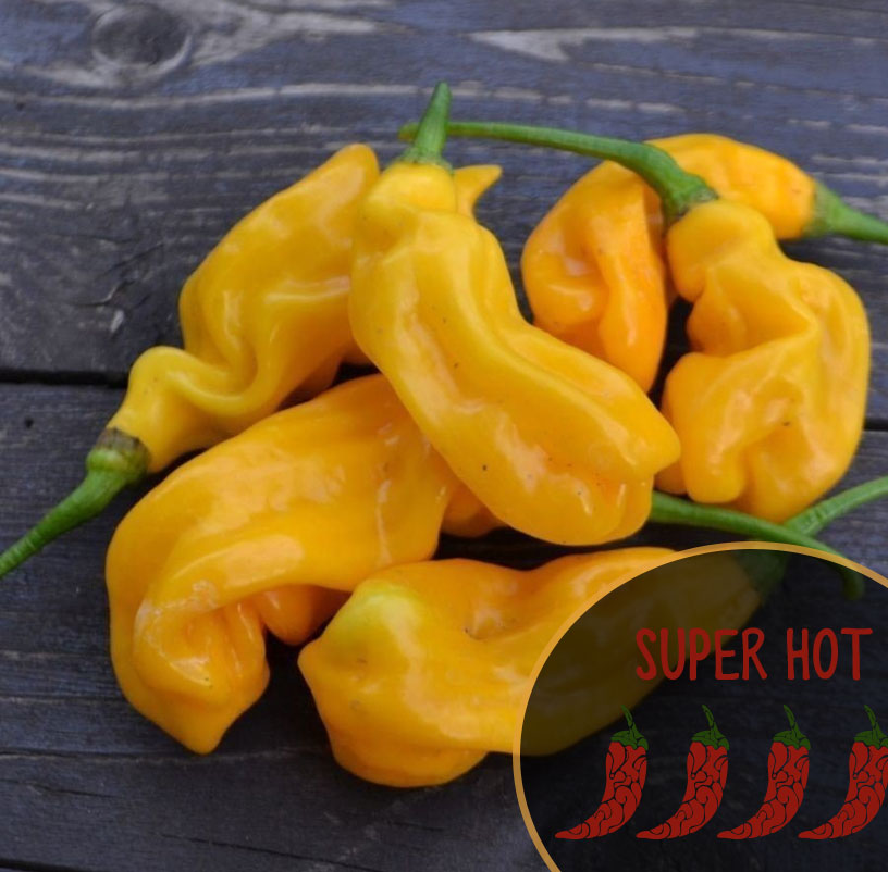 Goronong Super Hot chili peppers on a dark wooden surface with 'Super Hot' label.
