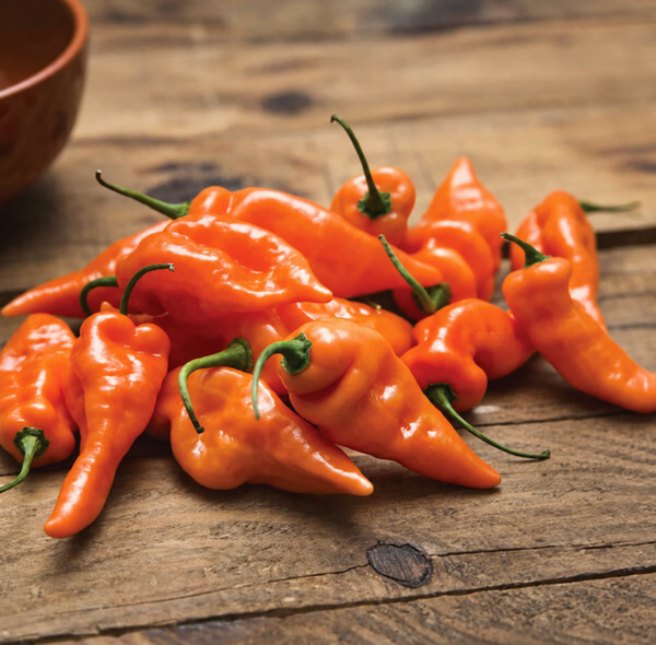 Orange Habanada peppers on a rustic wooden table; catalogue photograph retouched to remove a cropped heat label.