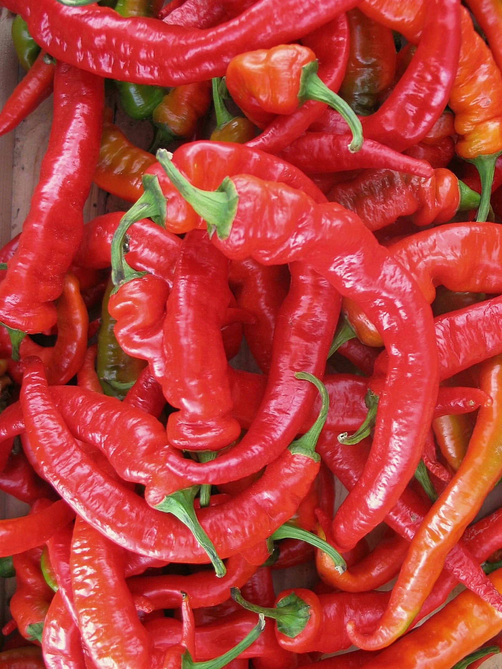 Hot Portugal