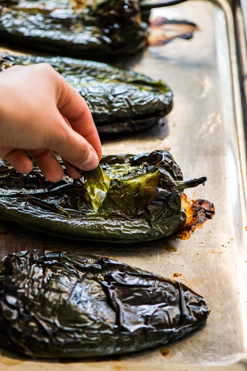 Piment Poblano