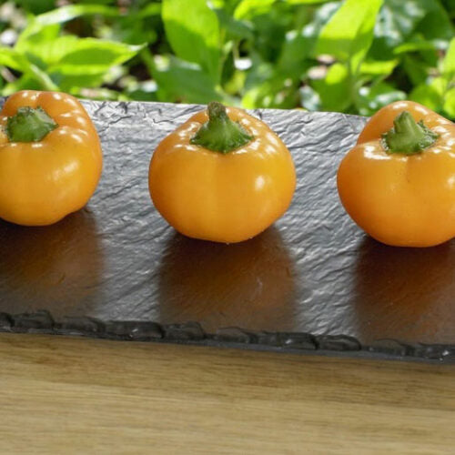 Poivrons farcis au fromage hongrois