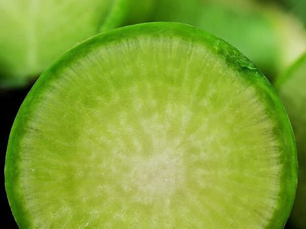 Wasabi Radish