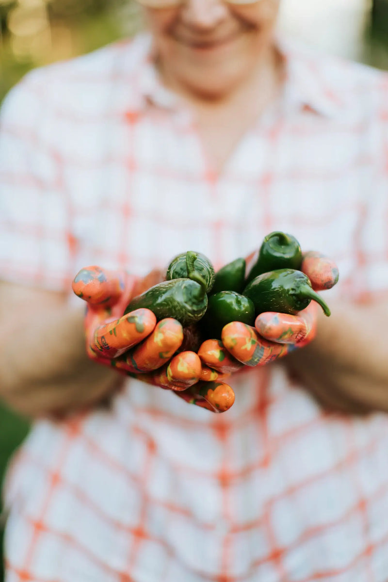 Piments et poivrons