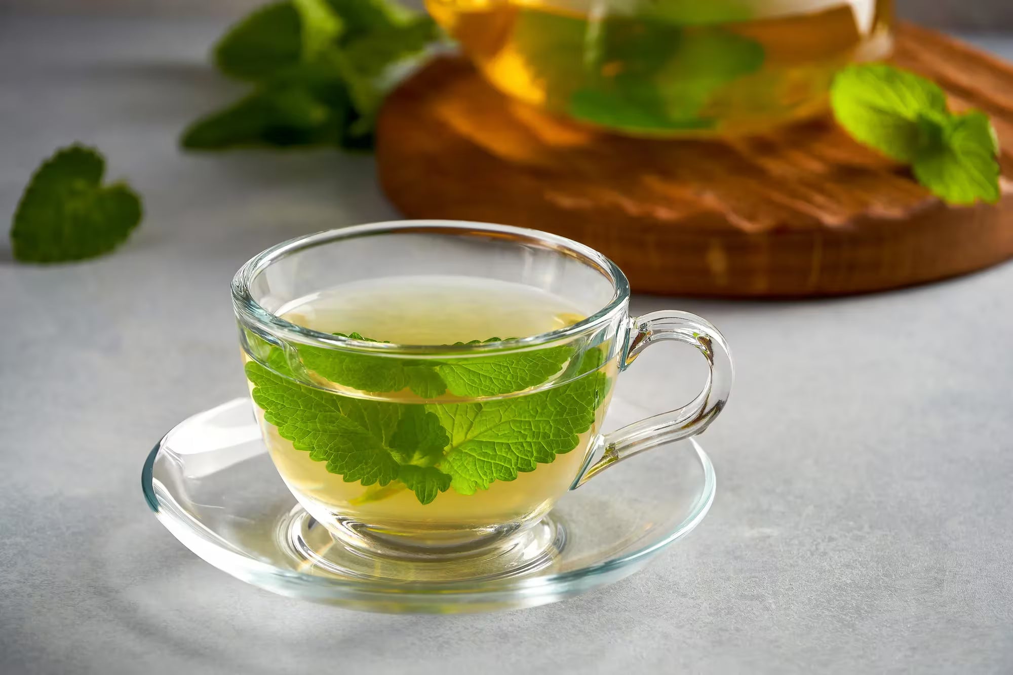 Mélisse officinale