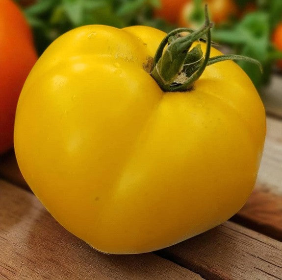 Tomate Lemon Boy