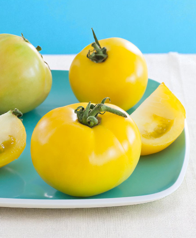 Tomate Lemon Boy