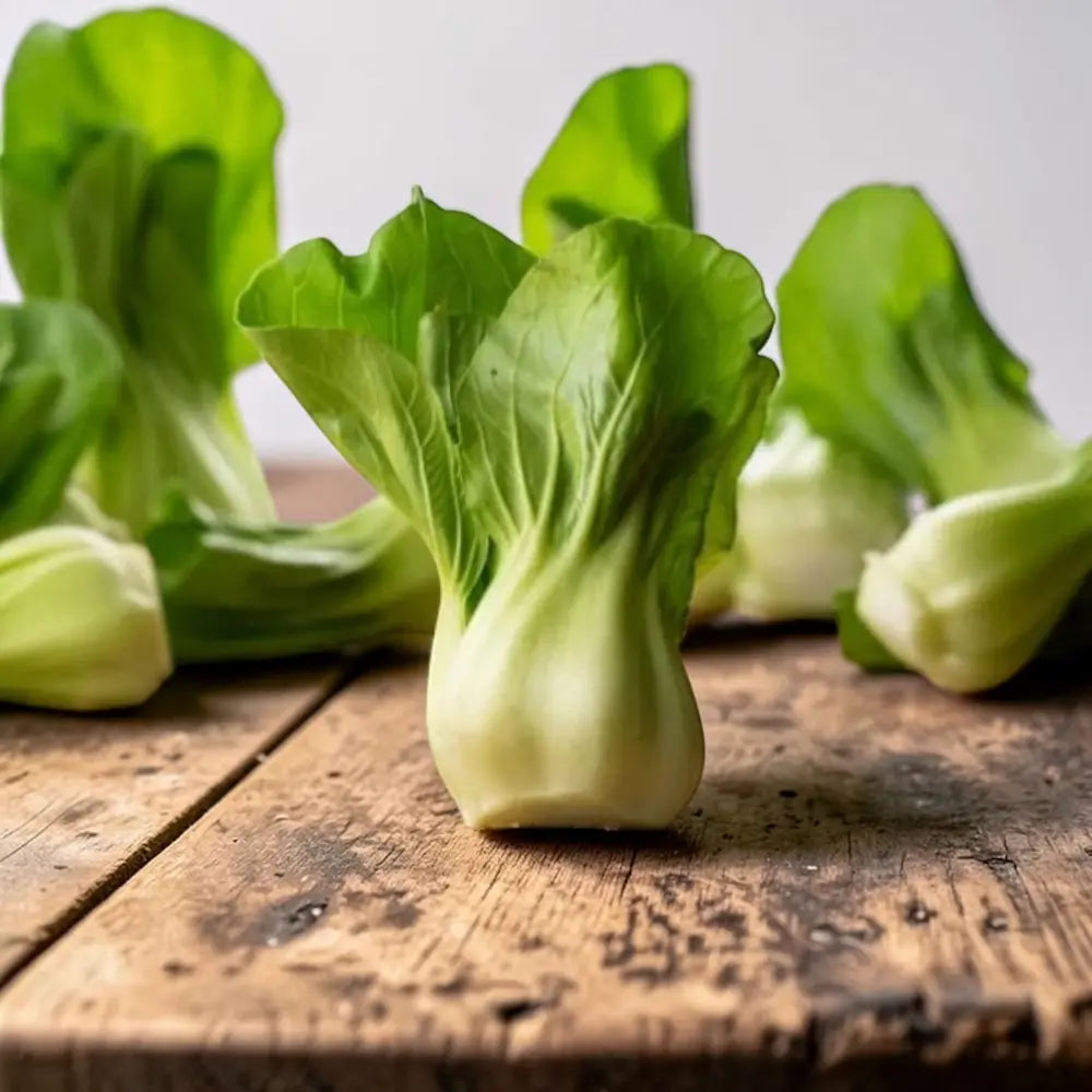 Little Shanghai Bok Choy - Casa Verde Seeds