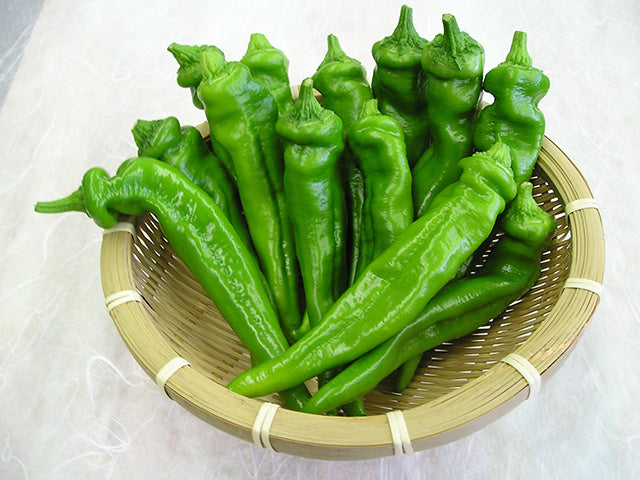 Green Manganji peppers in a woven basket on a white background