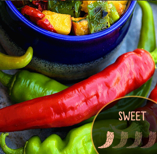 Colorful Manganji  peppers including red, green, and yellow with a blue container in the background.