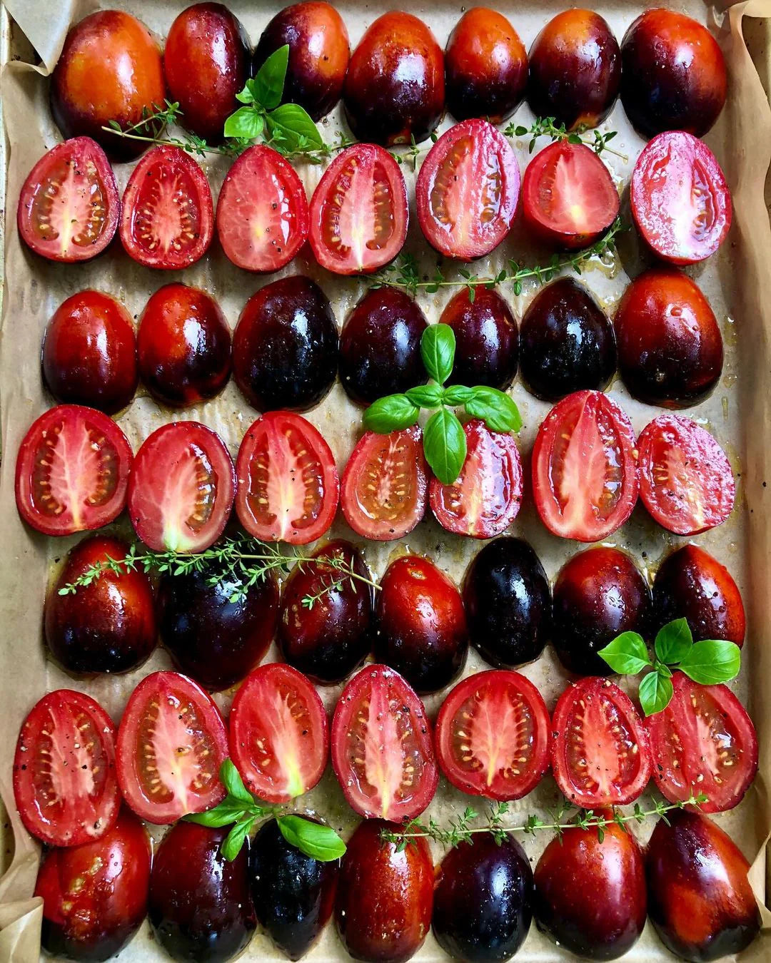 Tomate Roma de minuit