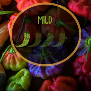 Mild