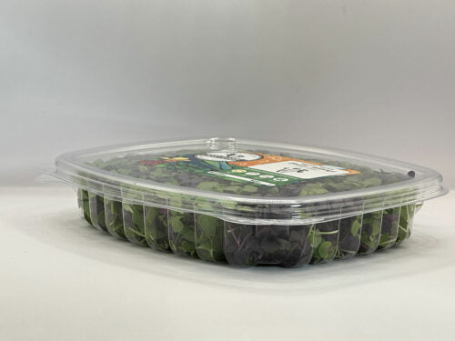 Mixed Basil (Stage 1)