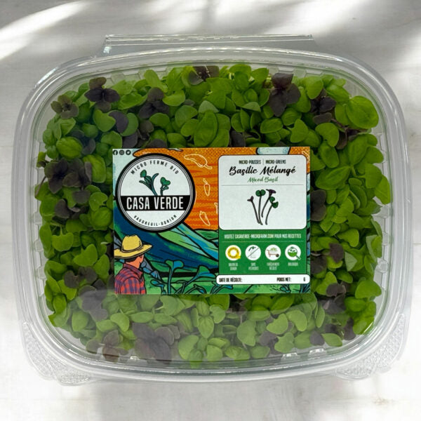 Mixed Basil (Stage 2)