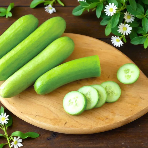 Mojito Cucumber Seeds - mojito cucumber culinary seeds heirloom