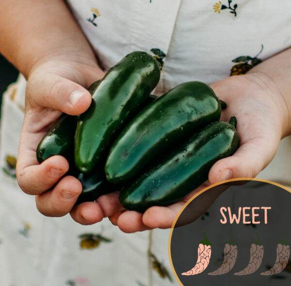 Child holding three green nadapeno peppers with a label indicating 'sweet' below.