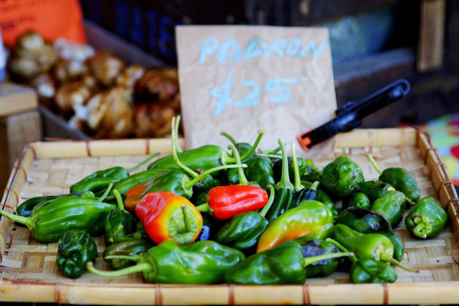 Padrón Pepper