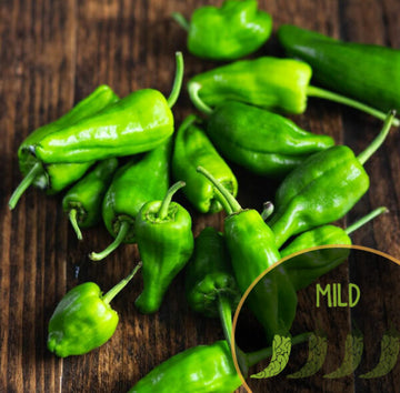 Padrón Pepper