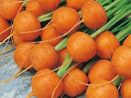 Graines de carottes du marché de Paris
