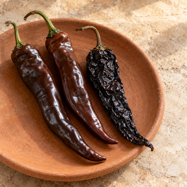 Pasilla pepper — culinary view (AI-generated cultivar illustration)