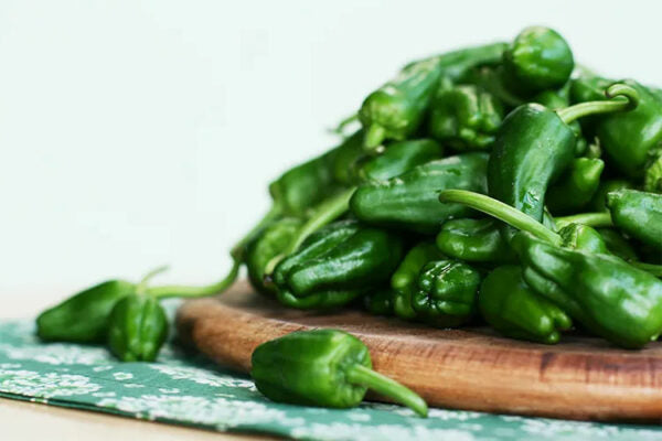 Padrón Pepper