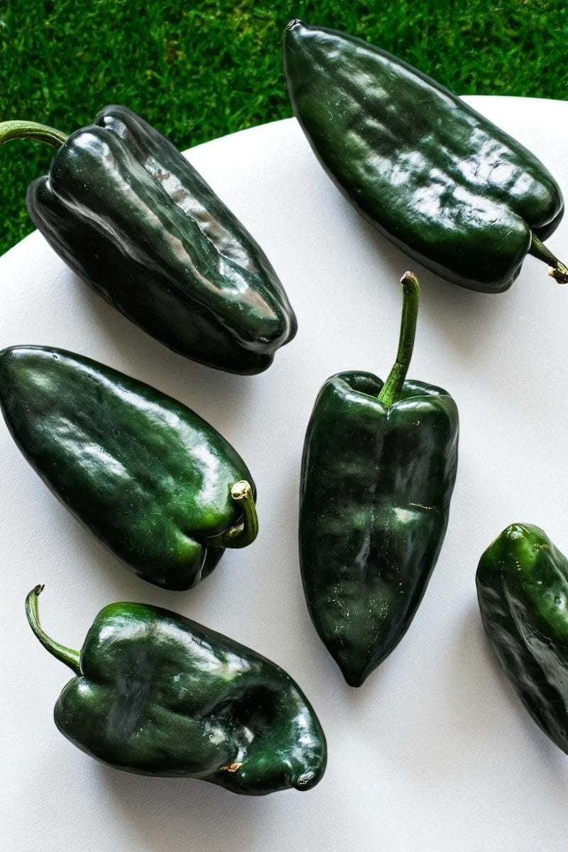 Piment Poblano
