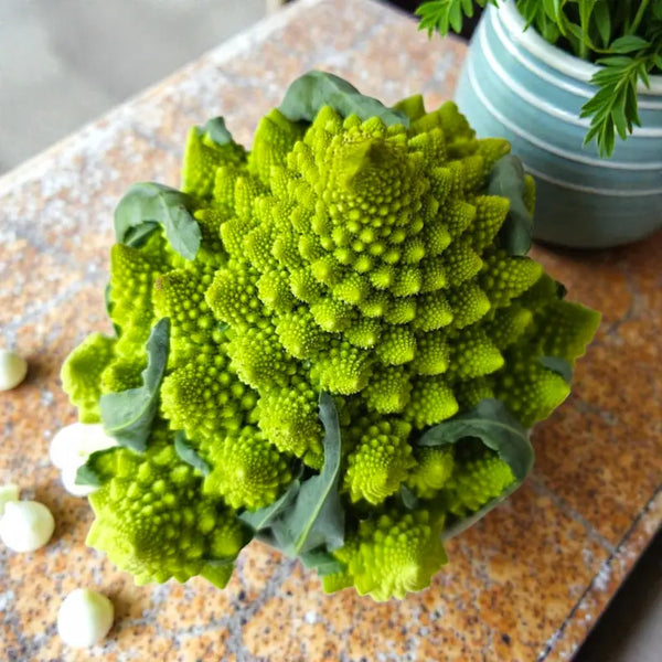 Puntaverde Cauliflower Seeds - puntaverde cauliflower culinary seeds