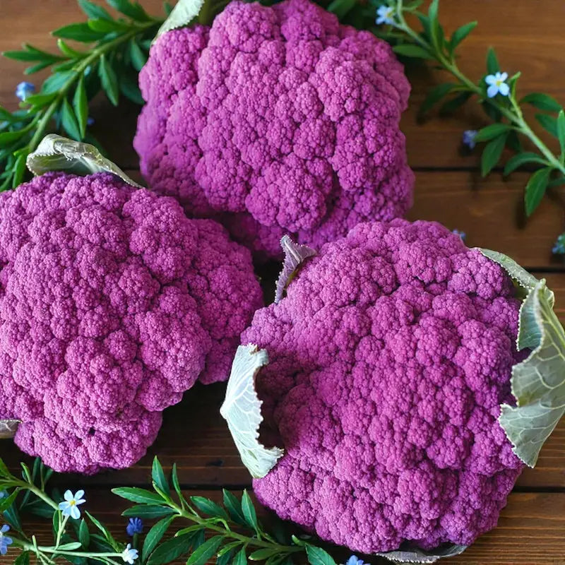 Purple Moon Cauliflower