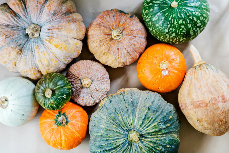 Citrouilles et courges