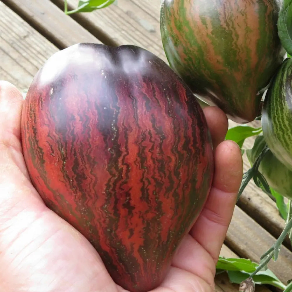 Rebel Starfighter Prime