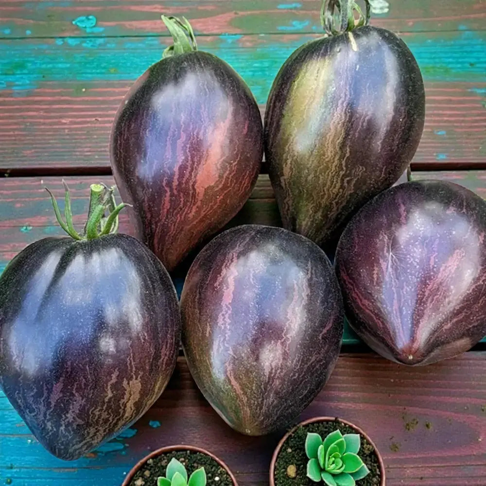 Rebel Starfighter Prime