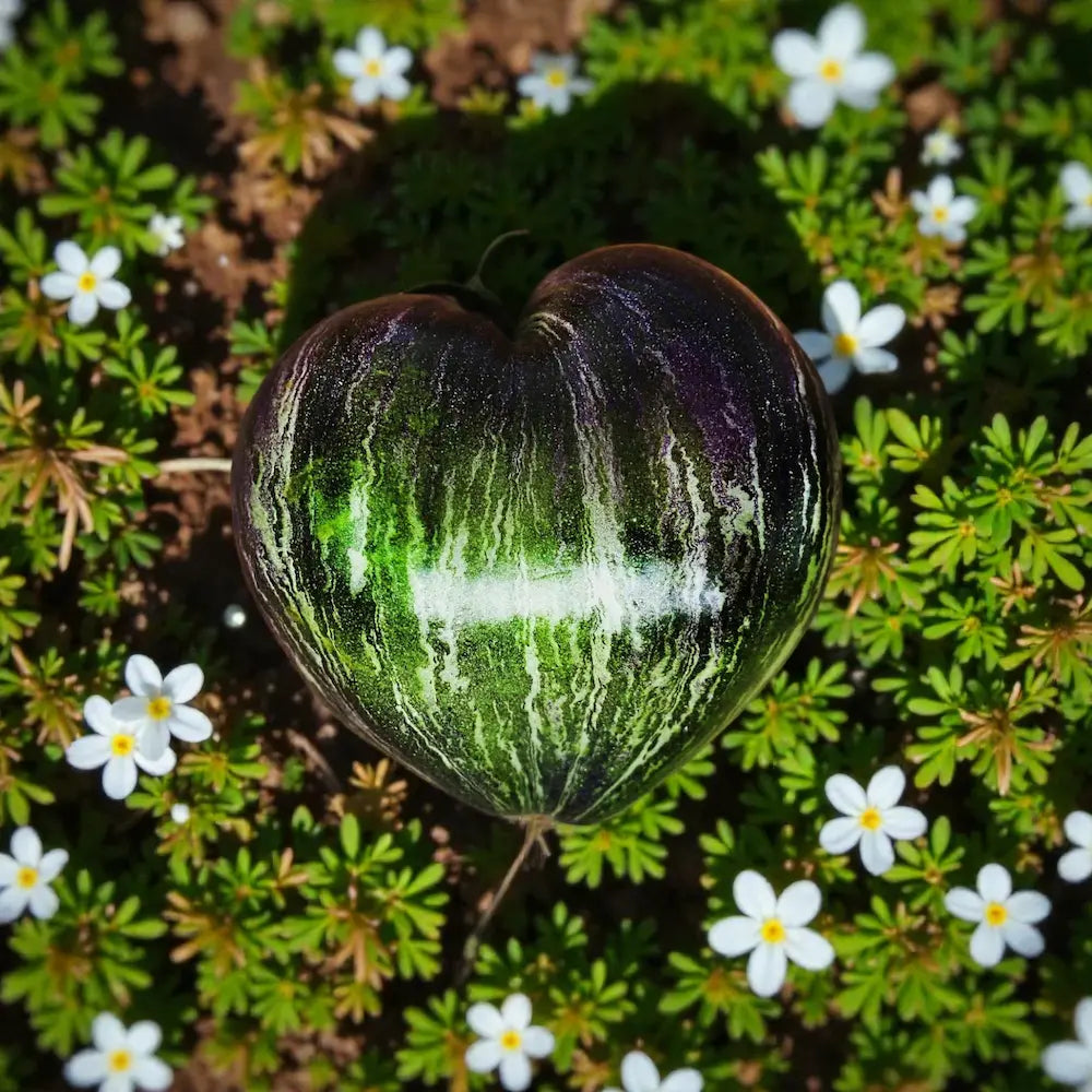 Rebel Starfighter Prime