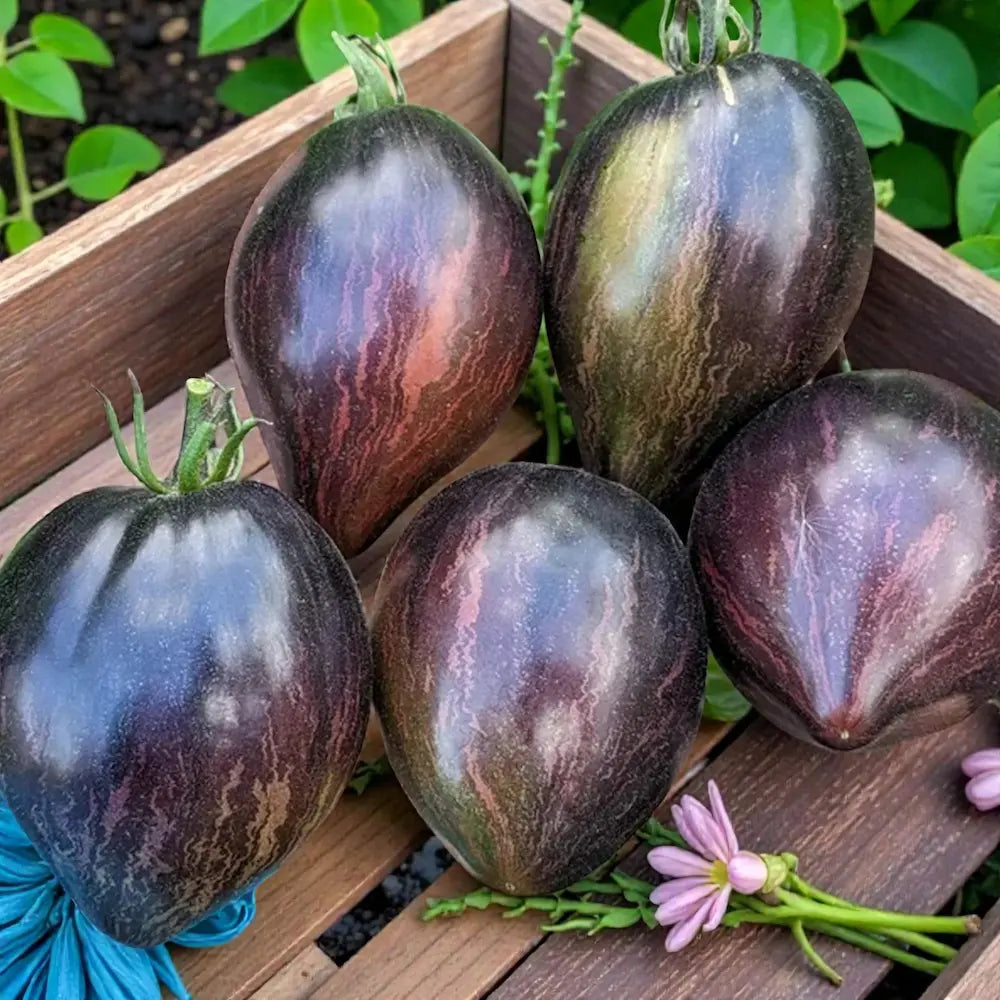 Rebel Starfighter Prime