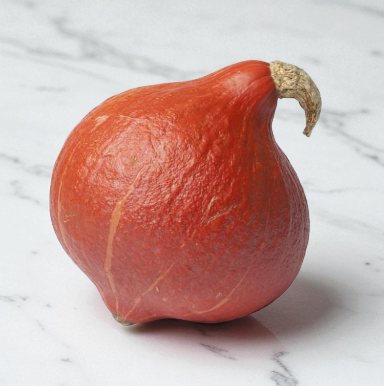 Courge Red Kuri
