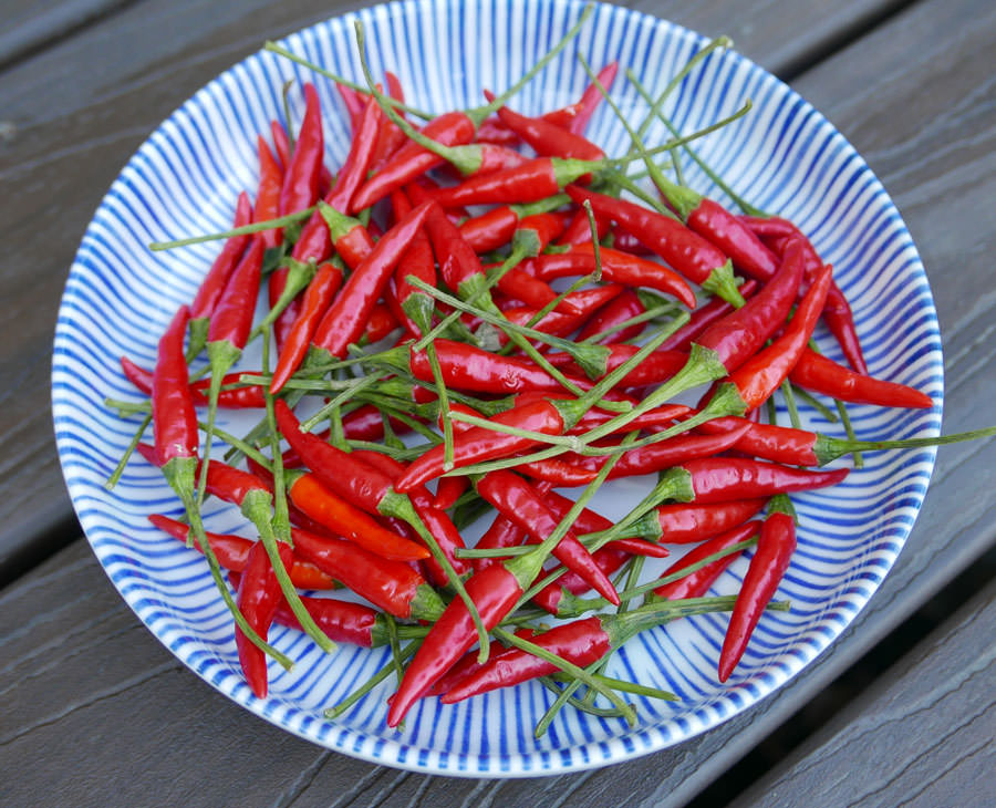 Red Thai Pepper