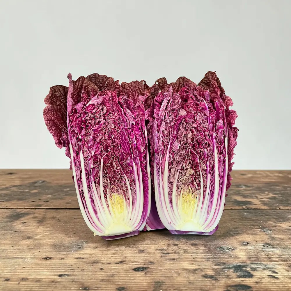 Red Trumpet Cabbage - red trumpet napa chinese cabbage seeds 1