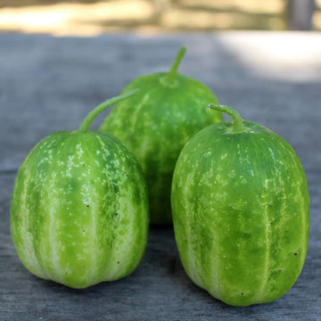 Richmond Apple Cucumber
