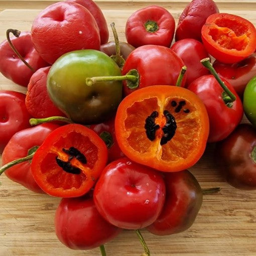 Rocoto Red Pepper