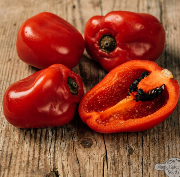 Whole red Rocoto peppers and a cut half showing dark seeds on wood; catalogue photograph retouched to remove a cropped heat label.