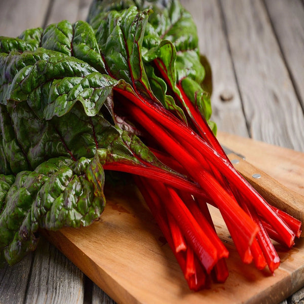 Ruby Red Swiss Chard Seeds - Casa Verde Seeds