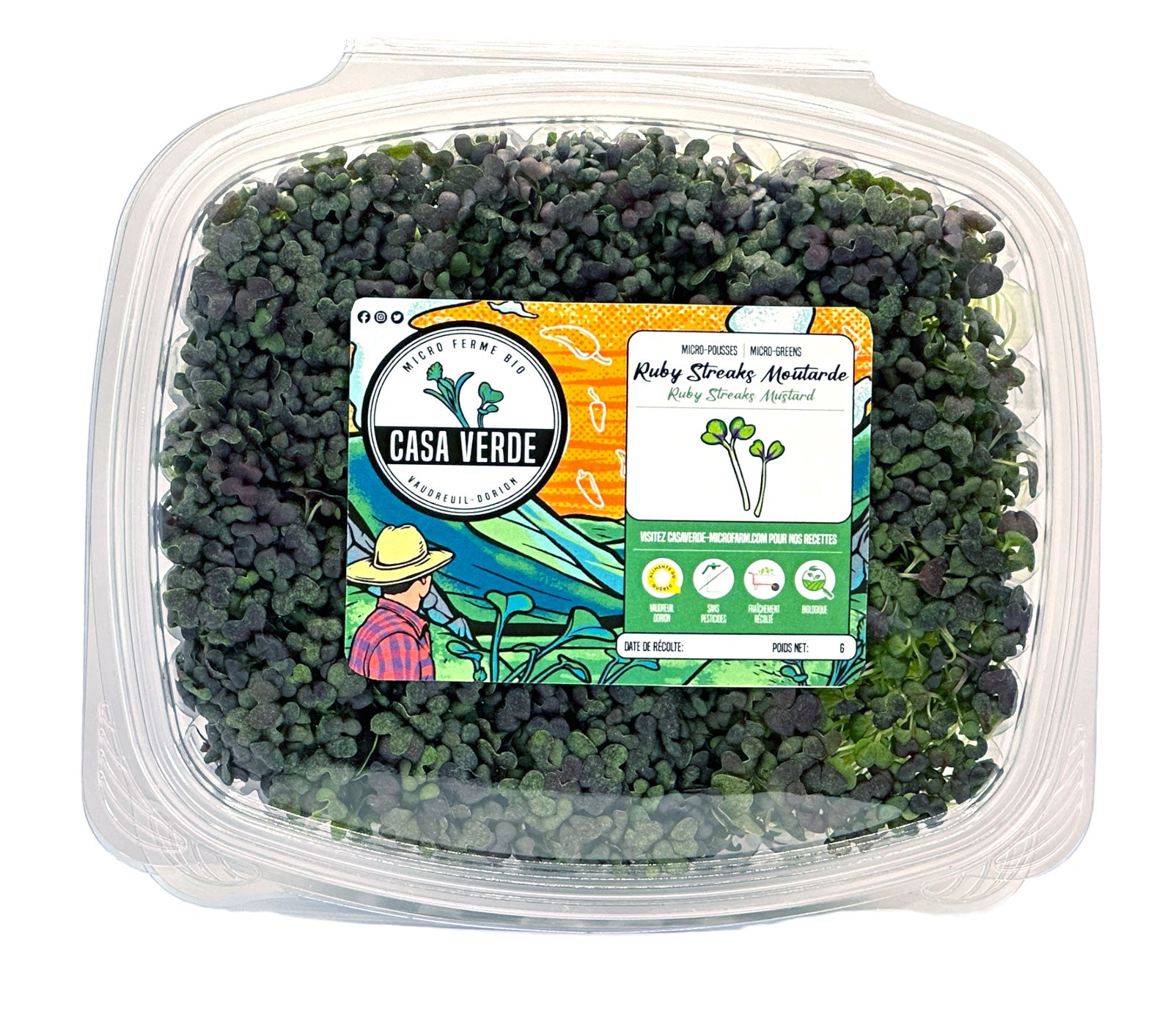 Ruby Streaks Mustard