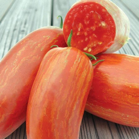 San Marzano Fire (tomate rayée)